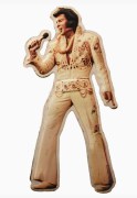 Elvis kontur